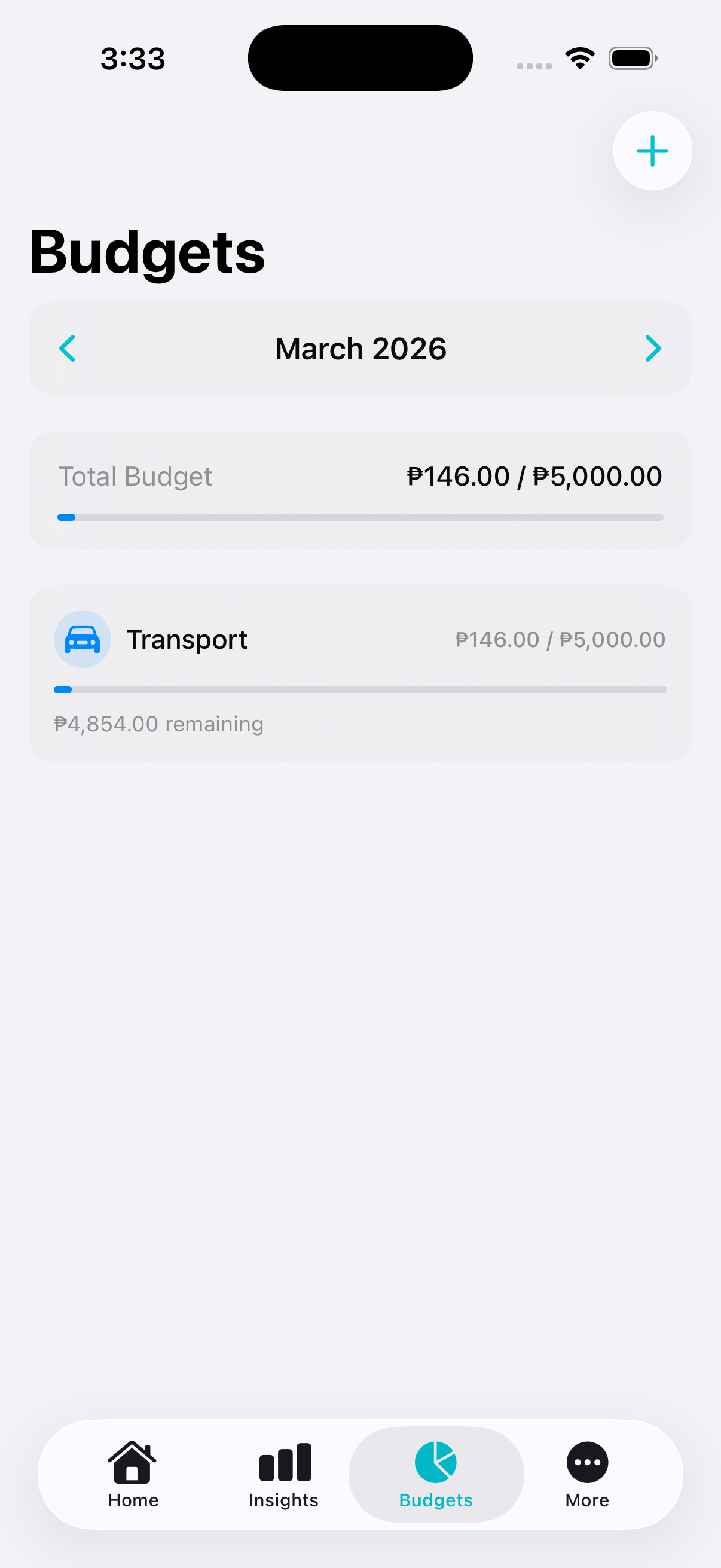 Monthly budgets screen