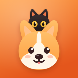 Boop Face icon: a big corgi face with the black cat peeking over its head, on orange